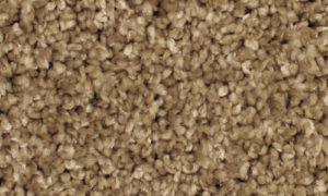 carpet flooring